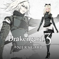 Nier's Garb